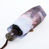   Lamberti 8/98  74745-18016 -, 22 - - 