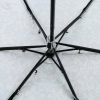   lAMBERTI 75116-1806  6/52,  18  - - 