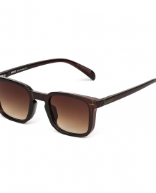    FABRETTI SFG09b-12 - - 